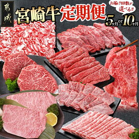 【ふるさと納税】【お届け回数が選べる！】宮崎牛定期便 - ブランド牛肉 国産黒毛和牛 赤身 バラ 切り落とし サーロインステーキ 焼き肉 様々な宮崎牛の部位をお届け 送料無料 SKUT-0101【宮崎県都城市は2年連続ふるさと納税日本一！】