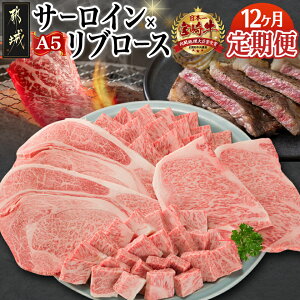 yӂ邳Ɣ[ŁzyA5z{苍T[C×{苍u[XO(12) - sY{苍  XCX/TCR/ē/Xe[L T[C u[X  TAE12-0101y{茧s