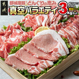 【ふるさと納税】「どんぐりの恵み」真空バラエティ3kgセット - 豚ローススライス肉/豚バラ焼肉用/肩ローススライス/モモ・ウデ切落とし肉 送料無料 17-1101【宮崎県都城市は令和4年度ふるさと納税日本一！】