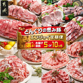 【ふるさと納税】【お届け回数が選べる！】「どんぐりの恵み豚」エンジョイ定期便 - 万能スライス/キャンプ飯/こま切れ 豚肉 ロース バラ モモ ウデ スライス スペアリブ 切り落とし ステーキ しゃぶしゃぶ セット 5ヶ月/10ヶ月 送料無料 SKUT-1101【宮崎県都城市】