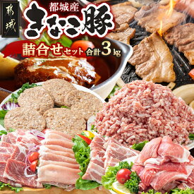 【ふるさと納税】都城産「きなこ豚」詰め合わせセット - ブランド豚 柔らかい豚肉 豚バラ焼肉用/豚ロース生姜焼き/豚肩ロース焼き肉/ウデ・モモ小間切れ/モモミンチ/ハンバーグ 送料無料 MA-1206【宮崎県都城市は2年連続ふるさと納税日本一！】