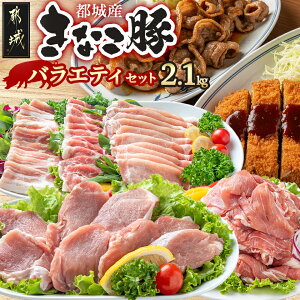 【ふるさと納税】都城産「きなこ豚」バラエティセット - ブランド豚 豚肉 豚肩ロース 豚バラしゃぶしゃぶ肉 ロース生姜焼き ヒレカツ ウデ・モモ小間切れ 豚しゃぶ 送料無料 MJ-1205【宮崎県