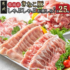 yӂ邳Ɣ[ŁzyeʂIׂIzsYuȂ؁vԂԂy݃Zbg - ؓ Iׂe 1.8kg/2.5kg oԂԓ [XԂԓ [XԂԓ 