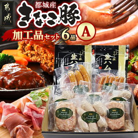 【ふるさと納税】「きなこ豚」加工品Aセット - きなこ豚 ブランドポーク ミートボール ハンバーグ フランク ウインナー ソーセージ 生ハム 加工品 冷凍 送料無料 MJ-1208【宮崎県都城市は2年連続ふるさと納税日本一！】