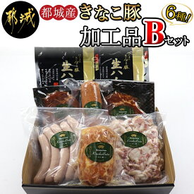 【ふるさと納税】都城産「きなこ豚」加工品セットB - きなこ豚 ブランドポーク プレスハム ソーセージ 生ウインナー 味噌漬け ベーコン 生ハム 加工品 冷凍 送料無料 MJ-1209【宮崎県都城市は令和4年度ふるさと納税日本一！】