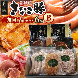 【ふるさと納税】都城産「きなこ豚」加工品セットB - きなこ豚 ブランドポーク プレスハム ソーセージ 生ウインナー 味噌漬け ベーコン 生ハム 加工品 冷凍 送料無料 MJ-1209【宮崎県都城市は2年連続ふるさと納税日本一！】