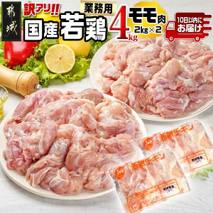 yӂ邳Ɣ[ŁzyZbgeIׂIzAIyƖpzY{4kg - 󂠂 { 2kg×2 /ނ˓ ZbgIׂ Hה׃Zbg 10ȓ/͂ 