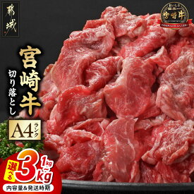 【ふるさと納税】【内容量＆発送時期が選べる！】宮崎牛切り落とし - 宮崎県産宮崎牛 小分け200g 選べる内容量 1kg/2kg/3kg 牛肉 お届け時期が選べる 送料無料 SKU-2601【宮崎県都城市】