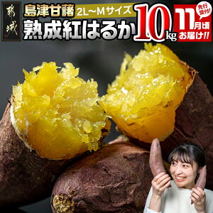 yӂ邳Ɣ[Łzy؃LO1ʊlzstIyeʂIׂIzÊÏ ng͂邩 2L`M - NԎt2 g͂邩 5kg/10kg 傫߃TCY 11͂ Yn 