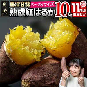 yӂ邳Ɣ[ŁzstIyeʂIׂIzÊÏ ng͂邩 S`2S - g͂邩 5kg/10kg ߃TCY 11͂ Yn ܂ Tc}C B Y yt  s