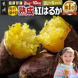 【野菜ランキング1位獲得】先行予約！【内容量＆発送時期が選...