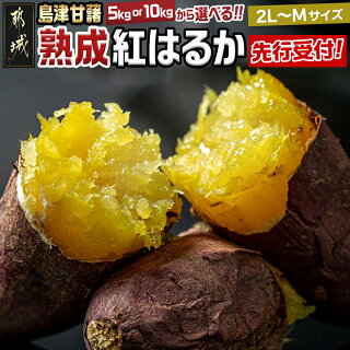 【内容量が選べる！】島津甘藷 熟成紅はるか