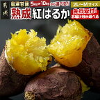 先行受付！【内容量＆お届け月が選べる！】島津甘藷 熟成紅はるか ≪2L?M≫ - 紅はるか 5kg/10kg 大きめサイズ 11月/12月/1月お届け 産地直送 さつまいも サツマイモ 九州 国産 土付き 送料無料 SKU-A701【宮崎県都城市は令和4年度ふるさと納税日本一！】