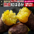 【内容量＆お届け月が選べる！】島津甘藷 熟成紅はるか ≪S?2S≫ - 紅はるか 5kg/10kg 小さめサイズ 翌月/11月/12月/1月お届け 産地直送 さつまいも サツマイモ 九州 国産 土付き 送料無料 SKU-A702【宮崎県都城市は令和4年度ふるさと納税日本一！】