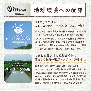 ナッツ用タマチャン紹介-2