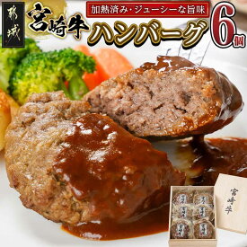 【ふるさと納税】加熱済み☆宮崎牛ハンバーグ6個 - 都城産宮崎牛使用 1個100g 個包装 真空パック 冷凍 贈り物 ギフト 贈答用 湯煎 黒毛和牛 木箱 送料無料 84-024【宮崎県都城市】