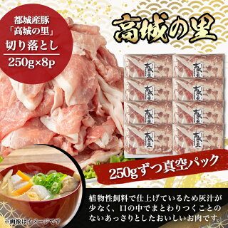 【ふるさと納税】「高城の里」豚切り落とし&宮崎県産鶏もも肉2.6kgセット-豚肉鶏肉切り落とし250g×8Pもも肉カット300g×2P真空パック冷凍送料無料AA-8407【宮崎県都城市は令和2年度ふるさと納税日本一!】