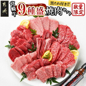 【ふるさと納税】【数量限定！】宮崎牛9種盛り焼肉セット - 宮崎牛 ラムシン/マルシン/イチボ/サーロイン/ザブトン/肩ロース/ショートリブ/カルビ/内モモ 焼肉 ギフト 贈答用 数量限定 送料無料 22-3101【宮崎県都城市は令和4年度ふるさと納税日本一！】