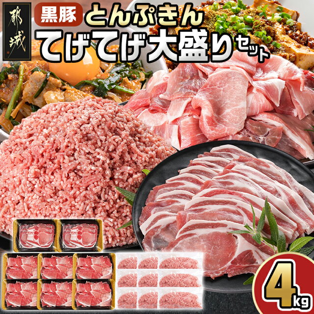 【ふるさと納税】「黒豚とんぷきん」てげてげ大盛4kgセット - ミンチ ...