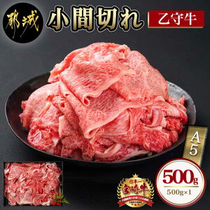 【ふるさと納税】数量限定!【宮崎牛A5】小間切れ500g(乙守牛) - 桜花牧場 自社ブランド牛「乙守牛(宮崎牛)」 高級牛肉 牛こま肉 牛肉小間切れ 牛こま切れ 赤身が美味しい 肉質等級 5等級 自
