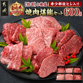 【ふるさと納税】≪希少部位ヒレ入り！≫ 宮崎牛【特選】6種盛 焼肉堪能セット 600g - 宮崎県産宮崎牛 焼肉6種盛 各100g ロース 肩ロース ヒレ ウデ バラ モモ 国産牛 ギフト 贈答用 送料無料 24-6502【宮崎県都城市は2年連続ふるさと納税日本一！】