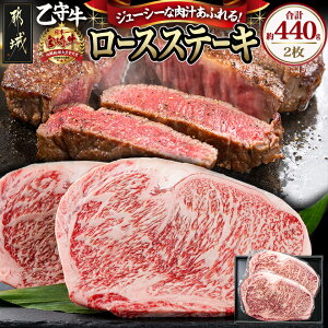 �y�ӂ邳�Ɣ[�Łz���ʌ���I�y�{�苍A5�z���[�X�X�e�[�L �v��440g(2��) (���狍) - �{�苍�X�e�[�L ���u���[�X�������̓T�[���C�� 2�� ��440g � �^��p�b�N �����p ���Ѓu�����h�� ���狍 