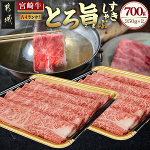yӂ邳Ɣ[ŁzyeʂIׂIz{苍yƂ|z - uh{苍̋ A4N/4 јa 500g/700g Ăp/p  ̎| XLL Mtg p 