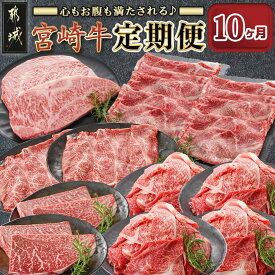 【ふるさと納税】心もお腹も満たされる♪宮崎牛定期便(10ヶ月) - お肉の定期便 食べ比べ 全国和牛能力共進会内閣総理大臣賞受賞 宮崎牛 すき焼き用 しゃぶしゃぶ用 ステーキ肉 すきしゃぶ 切り落とし 送料無料 T140-10-6501 【宮崎県都城市は2年連続ふるさと納税日本一！】