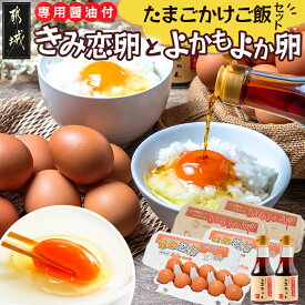 【ふるさと納税】「きみ恋卵」と「よかもよか卵」のたまごかけご飯セット - たまごの食べ比べセット 卵かけご飯専用醤油 玉子ちゃん 甘口 破損補償つき ブランド きみ恋卵 25個 よかもよか卵 15個 Mサイズ 送料無料 29-002【宮崎県都城市】