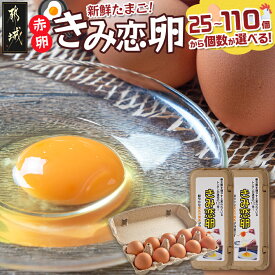 【ふるさと納税】【個数が選べる！】新鮮赤卵「きみ恋卵」 - 選べる個数 25個/60個/85個/110個 味が濃くまろやかなたまご 酵母のプロバイオティクス配合肥料 濃い黄身 タマゴ 玉子 鶏卵 お菓子作りに最適 送料無料 SKU-2901 【宮崎県都城市は2年連続ふるさと納税日本一！】