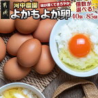 【個数が選べる！】「よかもよか卵」 - 河中農園 よかもよか卵 たまご タマゴ たまご焼き/シフォンケーキ/卵料理 選べる個数 40個/85個 送料無料 SKU-2902【宮崎県都城市は令和4年度ふるさと納税日本一！】