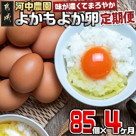 【ふるさと納税】よかもよか卵85個の定期便(4ヶ月) - 赤卵 よかもよか卵 Mサイズ 85個 約5kg たまご タマゴ 4回定期便 4ヶ月間連続 きみ恋卵の進化系 破損補償5個 味が濃い まろやか 送料無料 T60-4-2901【宮崎県都城市は令和4年度ふるさと納税日本一！】