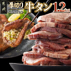 【ふるさと納税】厚切り牛タン1.2kg≪塩味付き≫ - 約10mm ぎゅうたん 厚切り 塩味付き 600g×2パック 味付き 切り込み スリット 送料無料 17-3606 【宮崎県都城市は2年連続ふるさと納税日本一！】