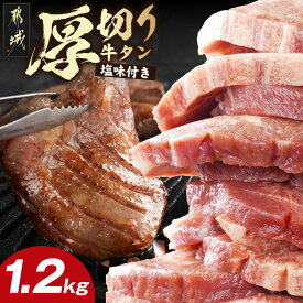 【ふるさと納税】厚切り牛タン1.2kg≪塩味付き≫ - 約10mm ぎゅうたん 厚切り 塩味付き 600g×2パック 味付き 切り込み スリット 送料無料 17-3606 【宮崎県都城市は2年連続ふるさと納税日本一！】
