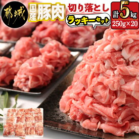 【ふるさと納税】国産豚肉切り落とし5kgラッキーセット - 国産豚 切り落とし 250g×20袋 5kg 豚肉 小分け パック 大容量 使い勝手抜群 お弁当 サラダ しゃぶしゃぶ 料理 アレンジ 送料無料 19-3601【宮崎県都城市は2年連続ふるさと納税日本一！】