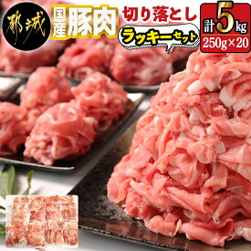 【ふるさと納税】国産豚肉切り落とし5kgラッキーセット - 国産豚 切り落とし 250g×20袋 5kg 豚肉 小分けパック 大容量 使い勝手抜群 送料無料 16-3601 【宮崎県都城市は令和4年度ふるさと納税日本一！】