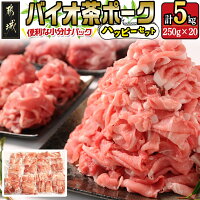 【ふるさと納税】都城産「バイオ茶ポーク」5kgハッピーセット - 豚肉 都...