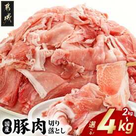 【ふるさと納税】【内容量が選べる！】国産豚肉切り落とし - 国産豚 切り落とし 2kg/4kg モモ・ウデ・ロース・肩ロース・バラのMIX 豚肉 送料無料 SKU-3604【宮崎県都城市は2年連続ふるさと納税日本一！】