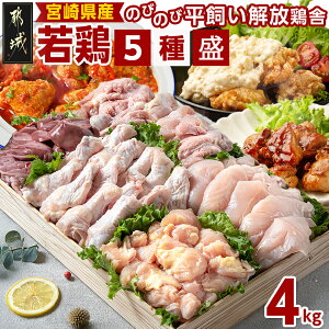 yӂ邳Ɣ[ŁzyIׂz{茧Y{ 5퐷4kgZbg - {   H e1kg  o[ e500g Ⓚ  AA-G302y{茧ss2NAӂ邳Ɣ[œ{I