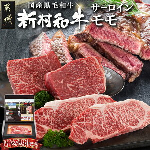 yӂ邳Ɣ[ŁzјaXe[L900gZbg(T[CXe[L2EXe[L2) - јa T[CXe[L 200g×2 Xe[L 250g×2  Xe[L }Ⓚ p 