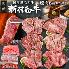 【ふるさと納税】【黒毛和牛】焼肉6種盛り食べ比べセット(真空包装) - 国産 黒毛和牛 サーロイン 三角バラ カイノミ クリミ ササバラ 中落ち 牛肉 焼肉 真空 急速冷凍 送料無料 33-4201【宮崎県都城市は2年連続ふるさと納税日本一！】