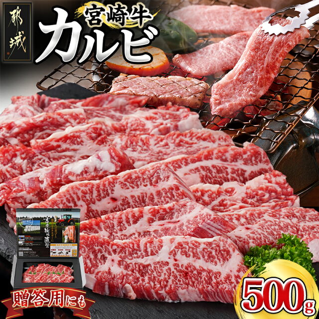 【ふるさと納税】宮崎牛カルビ500g - 宮崎牛 国産牛 黒毛和牛 牛肉...