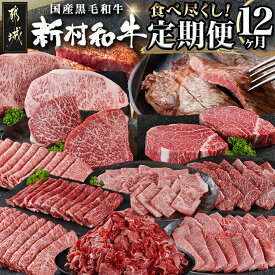 【ふるさと納税】黒毛和牛の本気！食べ尽くし12ヶ月定期便 - 黒毛和牛 定期便 肩ロース/サーロイン/切り落とし/カルビ/モモ/ロース/ヒレ スライス/焼肉/ステーキ 毎月お届け 和牛 送料無料 TAC12-4201【宮崎県都城市は2年連続ふるさと納税日本一！】