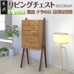 yӂ邳Ɣ[ŁzSICURO47rO`FXg - Yi̖ C VvłȃfUC 470mm×s315mm×1065mm VRC ICdグ [ Ƌ CeA ^X 