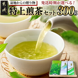 【ふるさと納税】【発送時期が選べる！】盆地からの贈り物 特上煎茶セット - 茶葉 特上煎茶/上白折/煎茶 各100グラム×1本 宮崎県産 お茶 一番茶 特急便もあり 配送時期が選べる お届け時期が選べる 送料無料 AA-4801【宮崎県都城市は2年連続ふるさと納税日本一！】