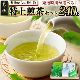 【ふるさと納税】【発送時期が選べる！】盆地からの贈り物 特上煎茶セット - 茶葉 特上煎茶/上白折/煎茶 各80グラム×1本 宮崎県産 お茶 一番茶 特急便もあり 配送時期が選べる お届け時期が選べる 送料無料 AA-48-001【宮崎県都城市は2年連続ふるさと納税日本一！】