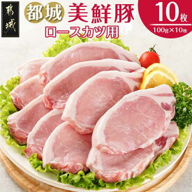 【ふるさと納税】都城美鮮豚ロースカツ用10枚セット - 豚肉 小分け 肉 ロース とんかつ用 トンカツ用 豚ロース ポークステーキ ロース肉 都城美鮮豚 送料無料 AA-5402 【宮崎県都城市は2年連続ふるさと納税日本一！】