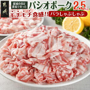 yӂ邳Ɣ[ŁzpVI|[NoԂ2.5kg(250g×10pbN) - Yؓ sY ؃o Ԃԗp 10P  ₵ pbN  AC-5406 y{茧ss2NAӂ