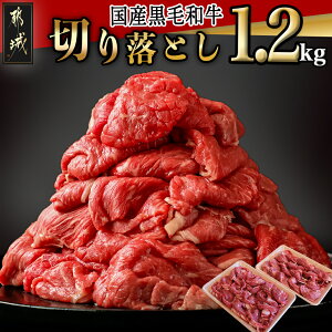 【ふるさと納税】【国産黒毛和牛】切り落とし1.2kg(600g×2P) - 国産 黒毛和牛 切り落とし 600g×2パック 冷凍配送 送料無料 MJ-E907【宮崎県都城市は2年連続ふるさと納税日本一!】