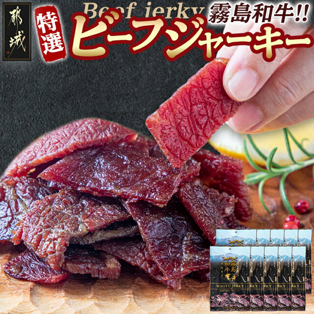 【霧島和牛】特選ビーフジャーキー(10パック) - 霧島和牛 ビーフジャ...